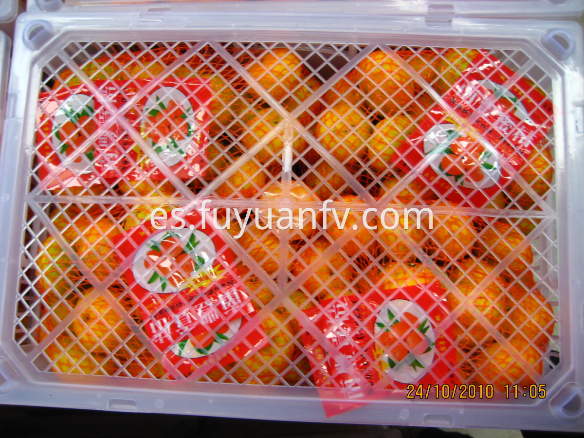 1kg*9bags baby mandarin